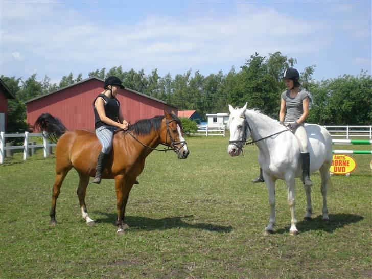 Anden særlig race Robin. (Tidl. part) - Robber og Bertha.... Kæresteparret..<3 billede 9