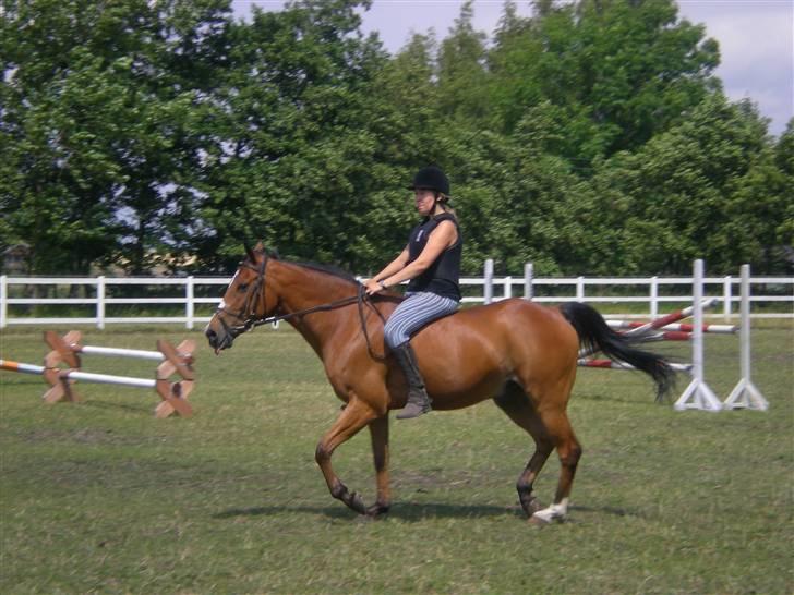 Anden særlig race Robin. (Tidl. part) - I fuld trav... =) billede 10