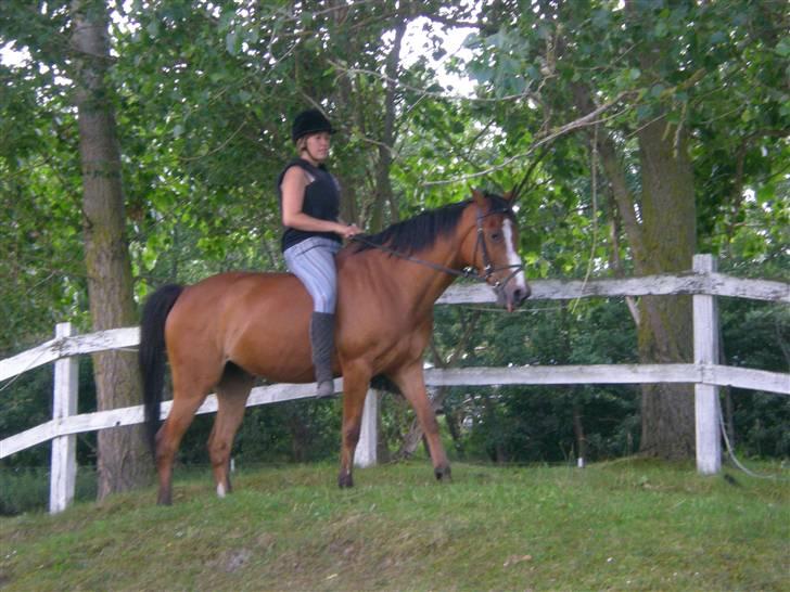 Anden særlig race Robin. (Tidl. part) - op ad bakke, ned ad bakke, op igen... XD billede 11