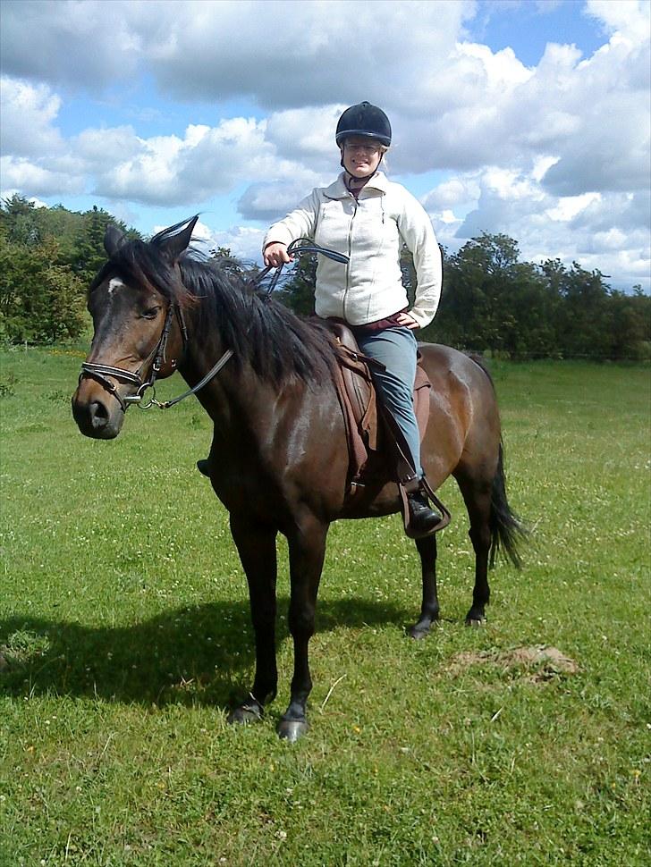 Anden særlig race Emilio (har passet) - min veninde billede 12