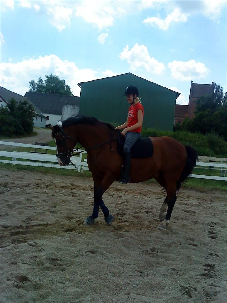 Dansk Varmblod  Uniqe - Bedste ven- SAVN - 16# Uniqe & jeg på banen. Foto : Misse 09! billede 15