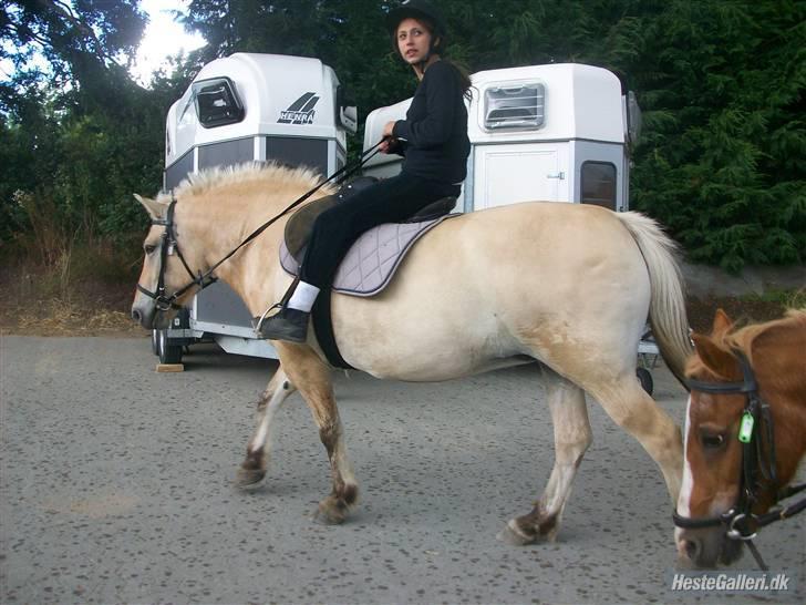 Anden særlig race tundhild (: . R.I.P :-(  billede 2