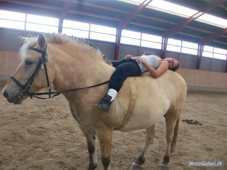 Anden særlig race tundhild (: . R.I.P :-(  billede 3