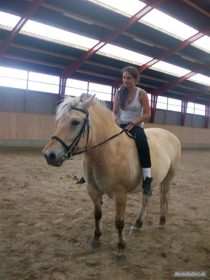 Anden særlig race tundhild (: . R.I.P :-(  billede 4