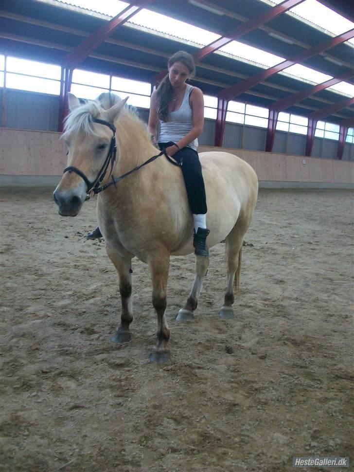 Anden særlig race tundhild (: . R.I.P :-(  billede 5