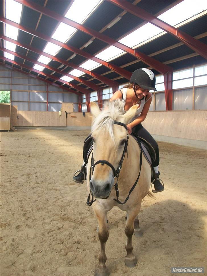 Anden særlig race tundhild (: . R.I.P :-(  billede 6