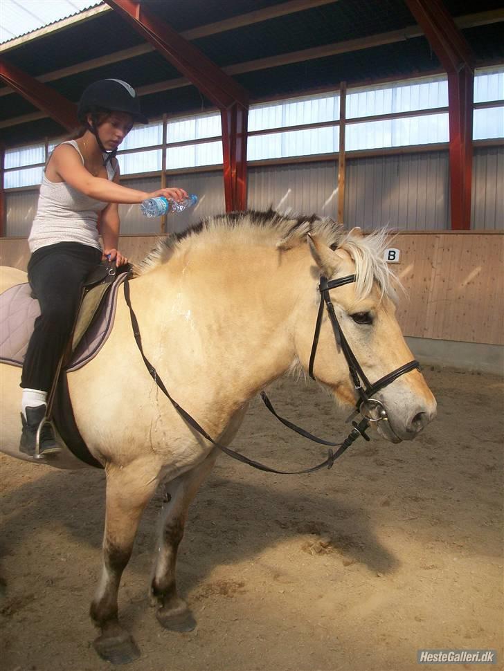 Anden særlig race tundhild (: . R.I.P :-(  billede 7