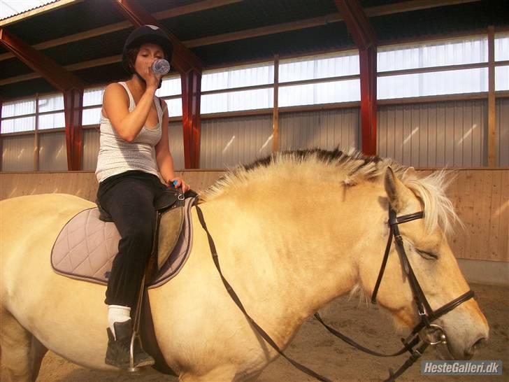 Anden særlig race tundhild (: . R.I.P :-(  billede 8