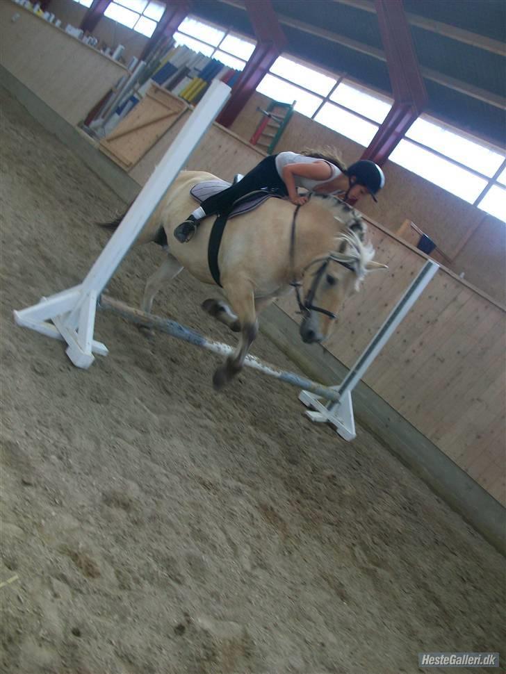 Anden særlig race tundhild (: . R.I.P :-(  billede 9