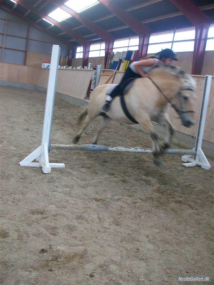 Anden særlig race tundhild (: . R.I.P :-(  billede 10