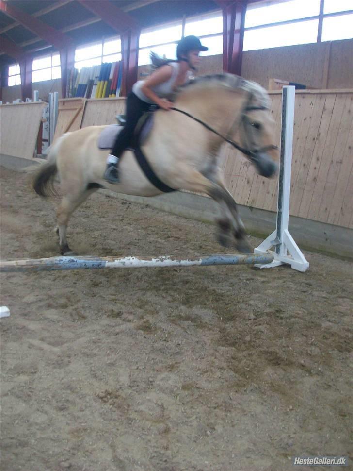 Anden særlig race tundhild (: . R.I.P :-(  billede 11