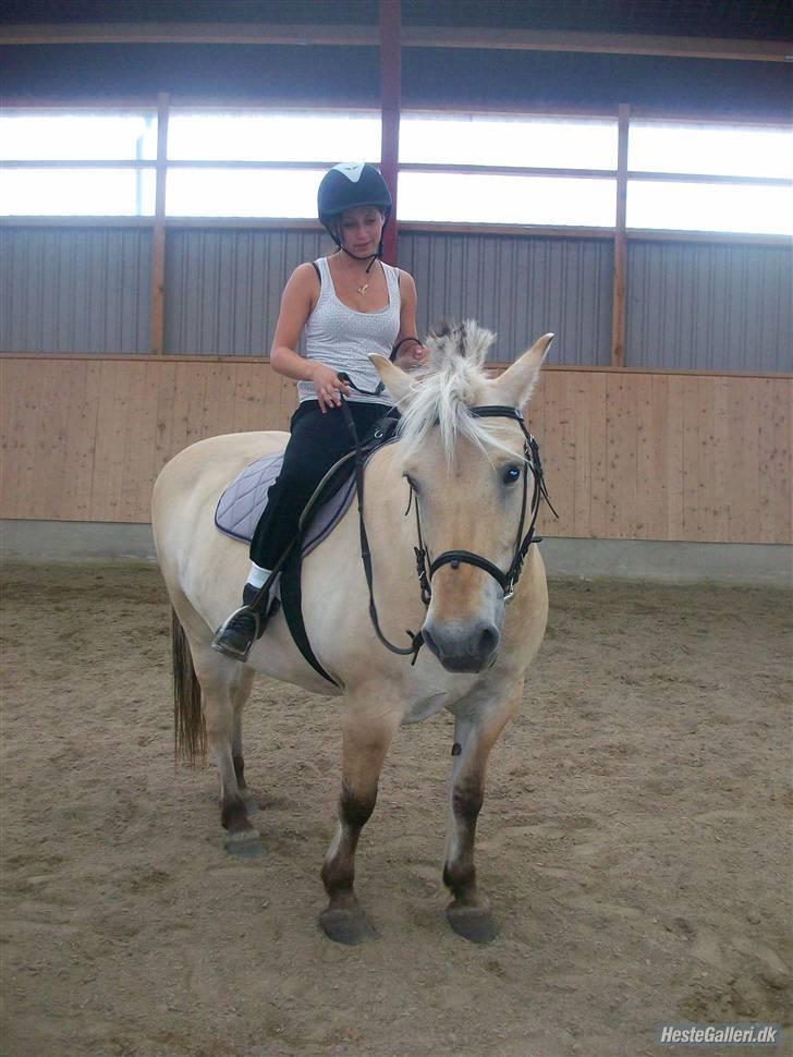 Anden særlig race tundhild (: . R.I.P :-(  billede 13