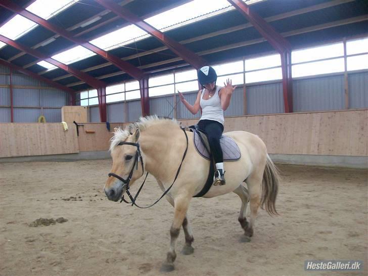 Anden særlig race tundhild (: . R.I.P :-(  billede 14