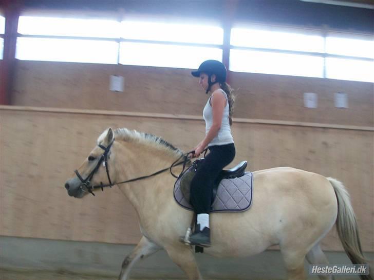 Anden særlig race tundhild (: . R.I.P :-(  billede 15