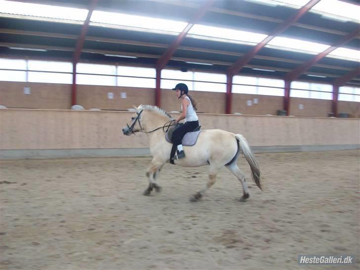 Anden særlig race tundhild (: . R.I.P :-(  billede 16