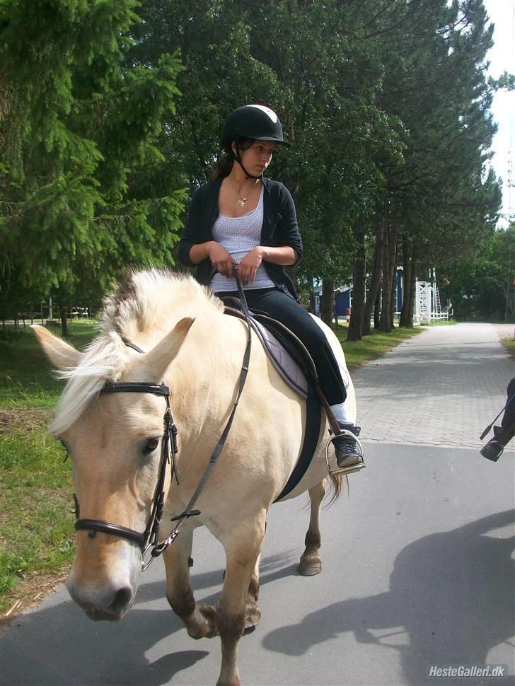 Anden særlig race tundhild (: . R.I.P :-(  billede 17