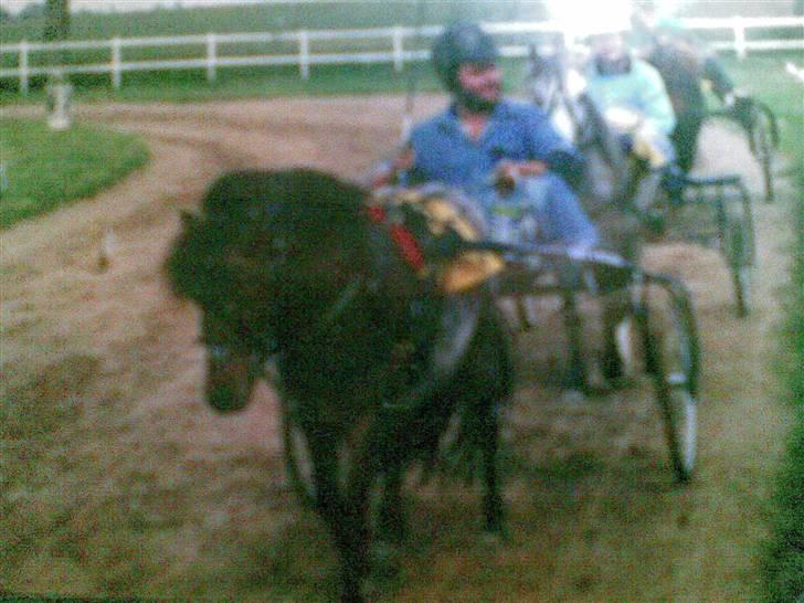 Anden særlig race Bandit<3 R.I.P 2001;'/ - Min Far og Bandit til oldboys de vandt xD<3 billede 2