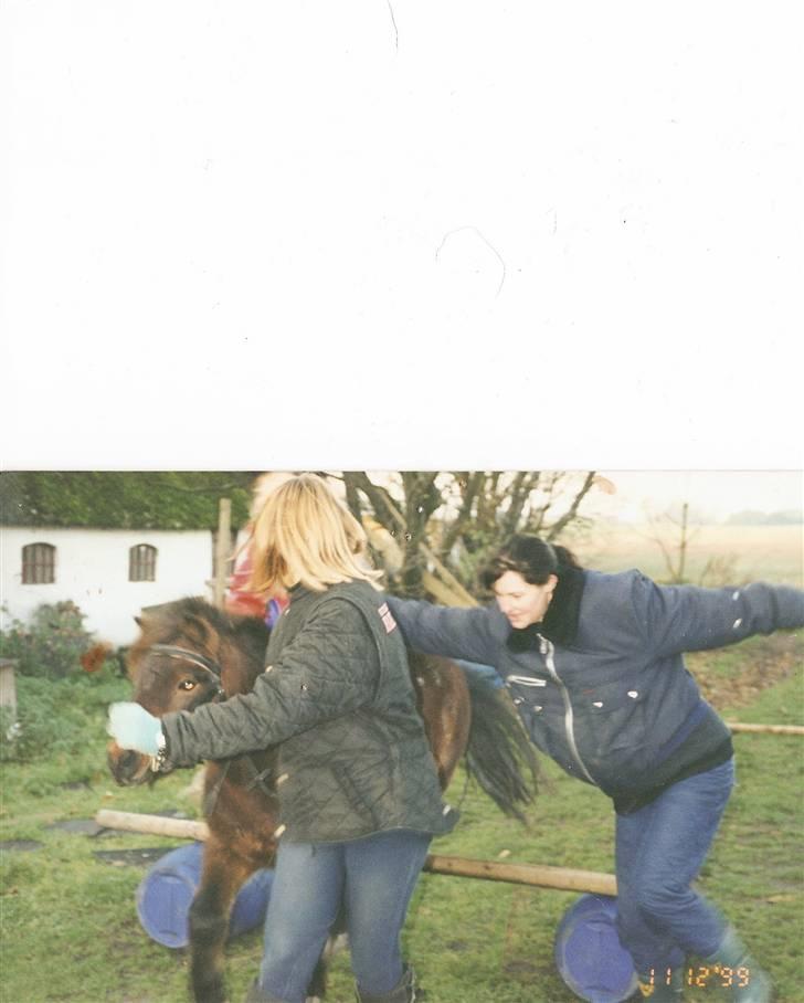 Anden særlig race Bandit<3 R.I.P 2001;'/ - Jeeeeg springer på Bandit(:<3 billede 4