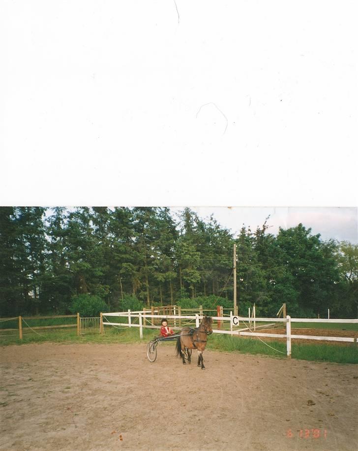 Anden særlig race Bandit<3 R.I.P 2001;'/ - Mig &´ Dejligste <3 billede 5