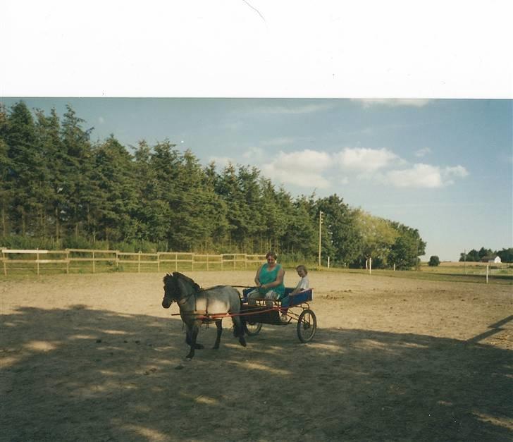 Anden særlig race Bandit<3 R.I.P 2001;'/ - Nogle af vores venner med Banner(: billede 6