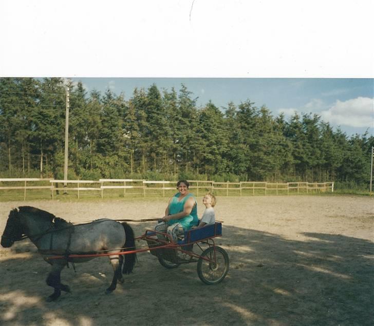 Anden særlig race Bandit<3 R.I.P 2001;'/ - Igen <3 billede 7