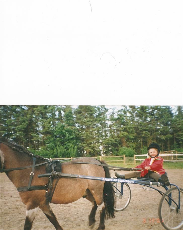 Anden særlig race Bandit<3 R.I.P 2001;'/ - Mig &´ Bandit, undskyld man ikke kan se det hele;/.. billede 8