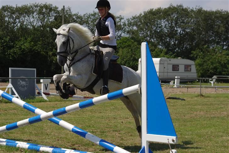 Irsk Sportspony Mistys Dream **SOLGT** - silja følg så med den pony..! (hun satte lidt stort af..xD) (ridelejre 2009 i nvr) billede 5