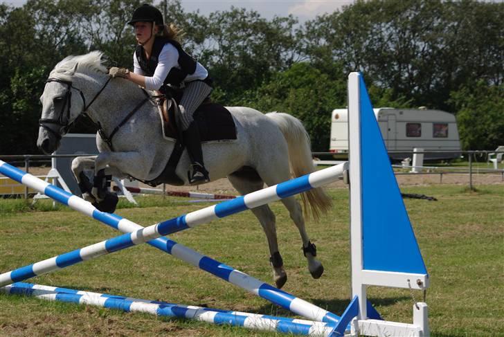 Irsk Sportspony Mistys Dream **SOLGT** - det var bedre..! :D (ridelejre 2009 i nvr) billede 6