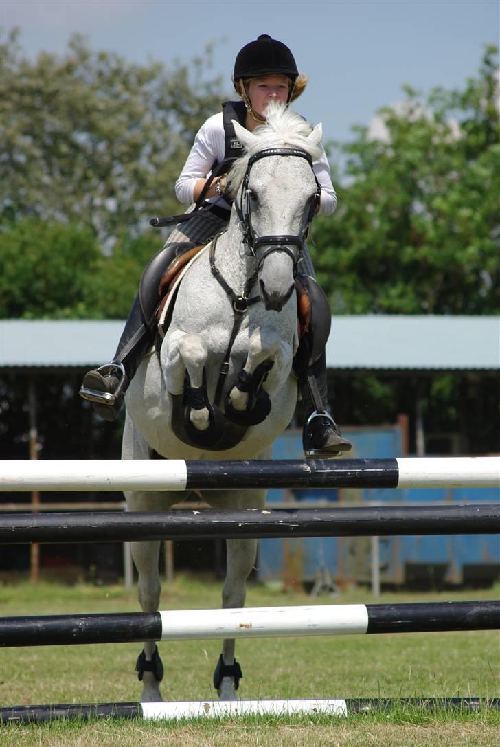 Irsk Sportspony Mistys Dream **SOLGT** - ved hvad i tænker men hun er min og kun min.! :D:D(ridelejre 2009 i nvr) billede 7