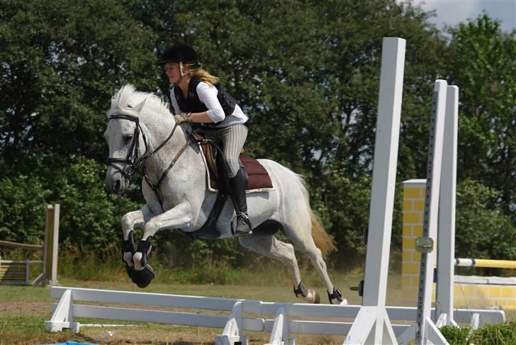 Irsk Sportspony Mistys Dream **SOLGT** - stor vandgrav..? ingen problemer.! (ridelejre 2009 i nvr) billede 8