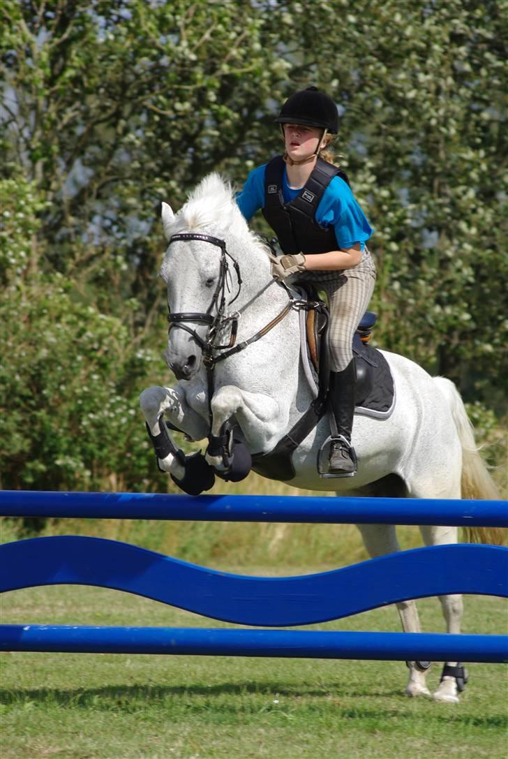 Irsk Sportspony Mistys Dream **SOLGT** - you and my together 4-ever..! (ridelejre 2009 i nvr) billede 9