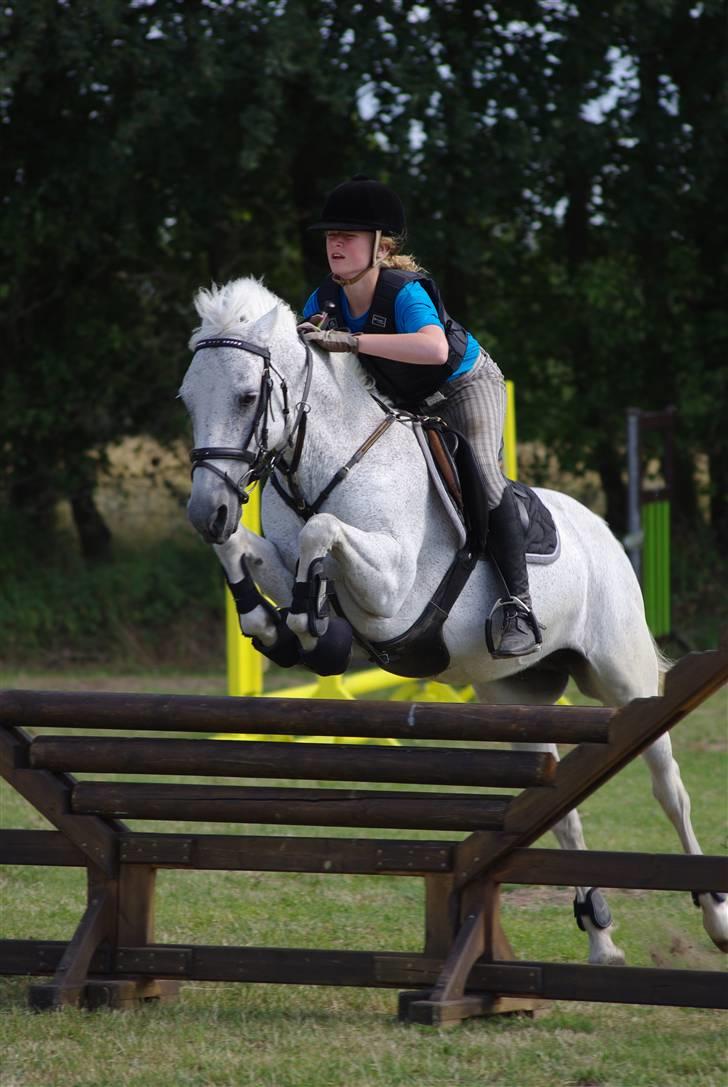 Irsk Sportspony Mistys Dream **SOLGT** - jaa bedre teknik er sq svært at finde.. :o) (ridelejre 2009 i nvr) billede 11