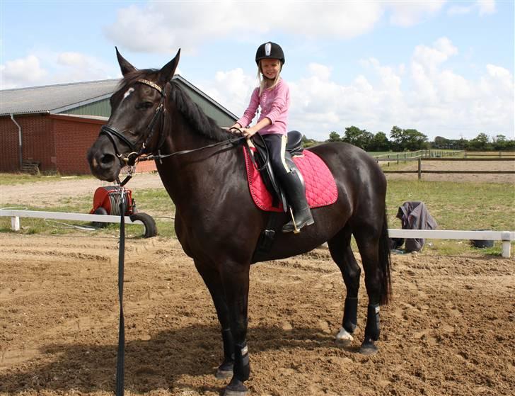 Oldenborg Chanel ( R.I.P) - Line er kommet højt til hest:-) billede 13