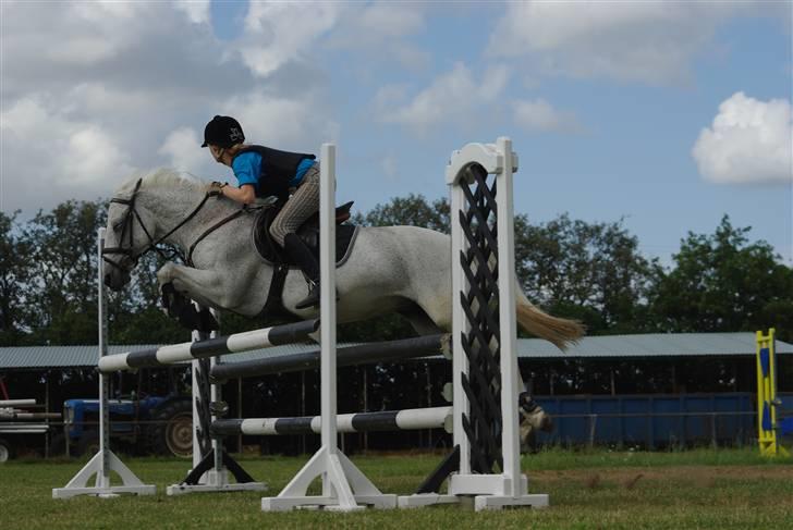 Irsk Sportspony Mistys Dream **SOLGT** - hun er så nice main..xD (ridelejre 2009 i nvr) billede 12