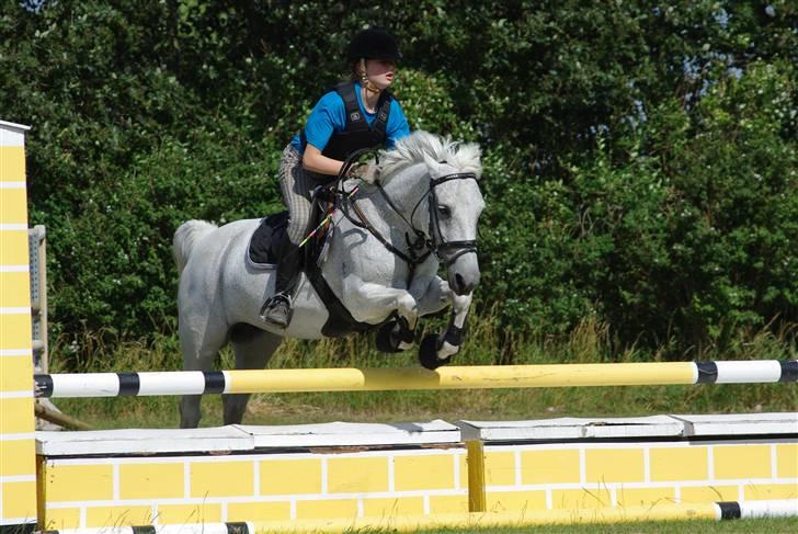 Irsk Sportspony Mistys Dream **SOLGT** - mur kan vi os godt finde ud af.. :D (ridelejre 2009 i nvr) billede 13