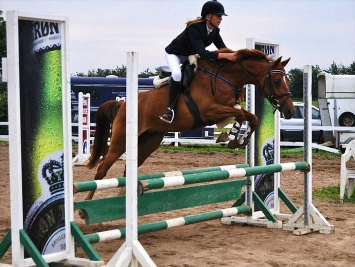 DSP Lille Asserholt Naomi [KLUBMESTER 2011] - Lc min. i BOR **Isabella** billede 5