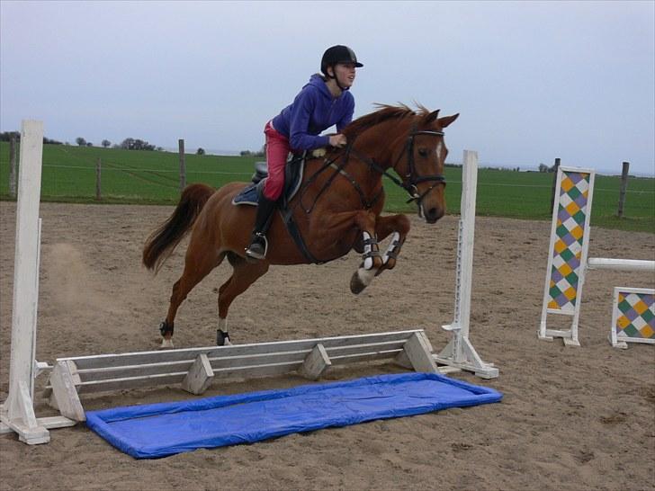 DSP Lille Asserholt Naomi [KLUBMESTER 2011] - Første gang vi springer vandgrav :) Man skal jo bare styre på, så hopper hun hele vejen der hen ! billede 7