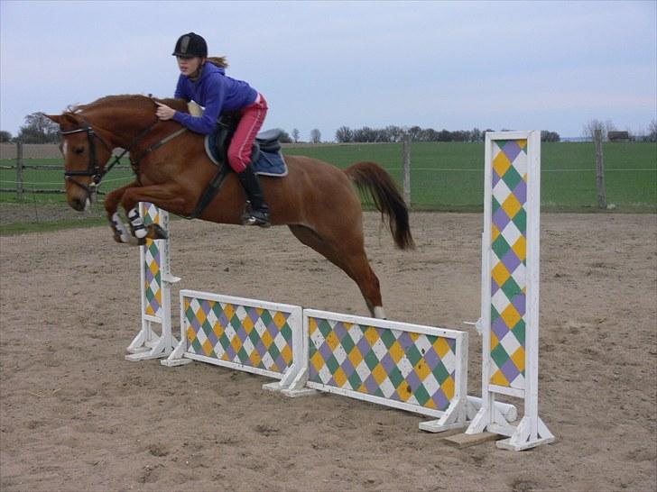 DSP Lille Asserholt Naomi [KLUBMESTER 2011] - Højt over, det er Naomi ! billede 11