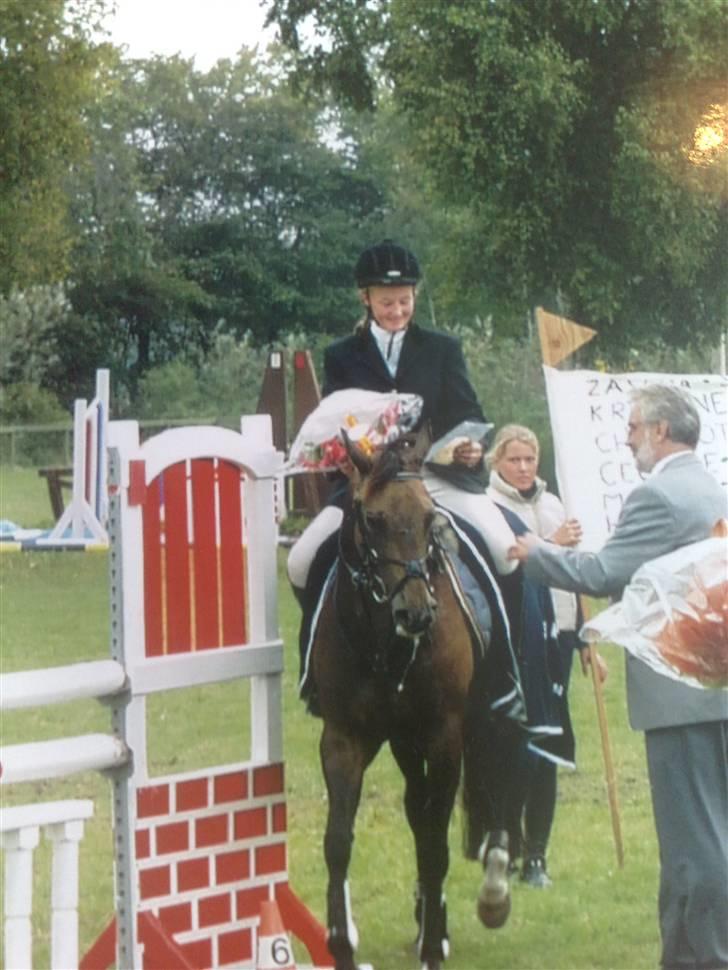 Quarter Scarlett  *r.i.p.*  billede 4