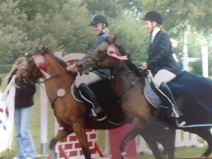 Quarter Scarlett  *r.i.p.*  billede 5