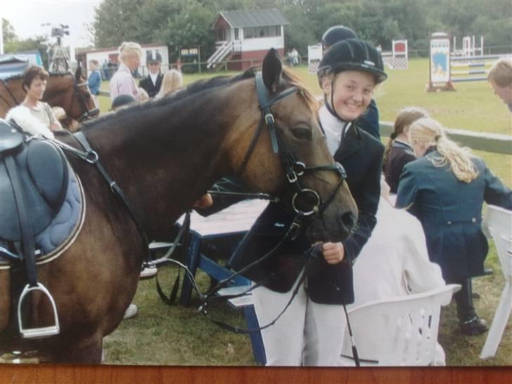 Quarter Scarlett  *r.i.p.*  billede 6