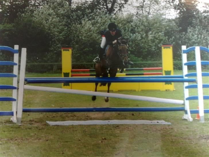 Quarter Scarlett  *r.i.p.*  billede 7