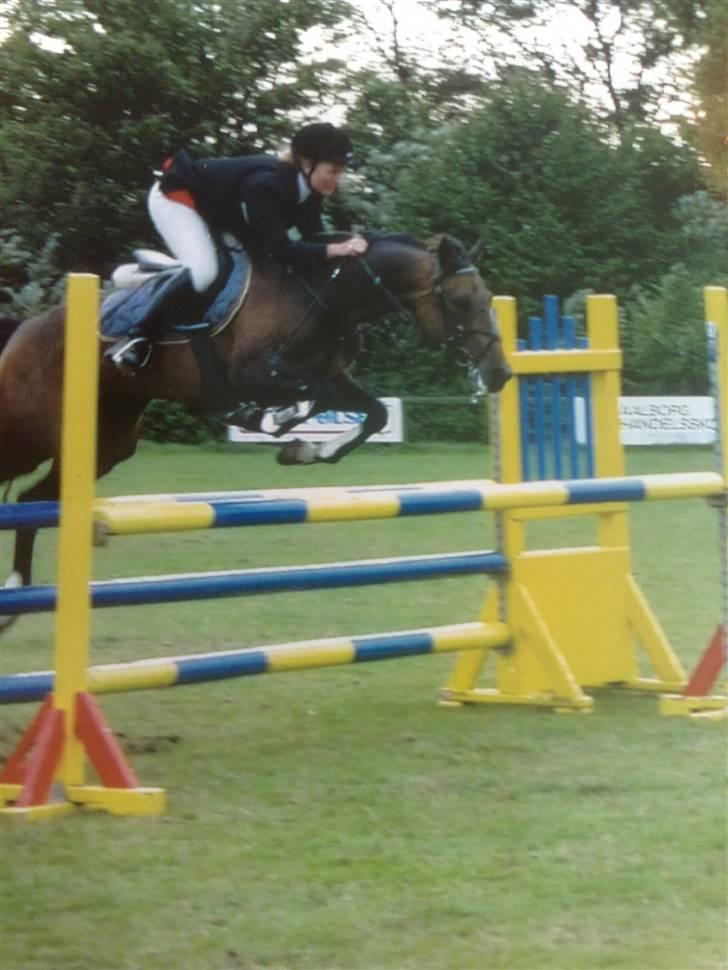 Quarter Scarlett  *r.i.p.*  billede 9