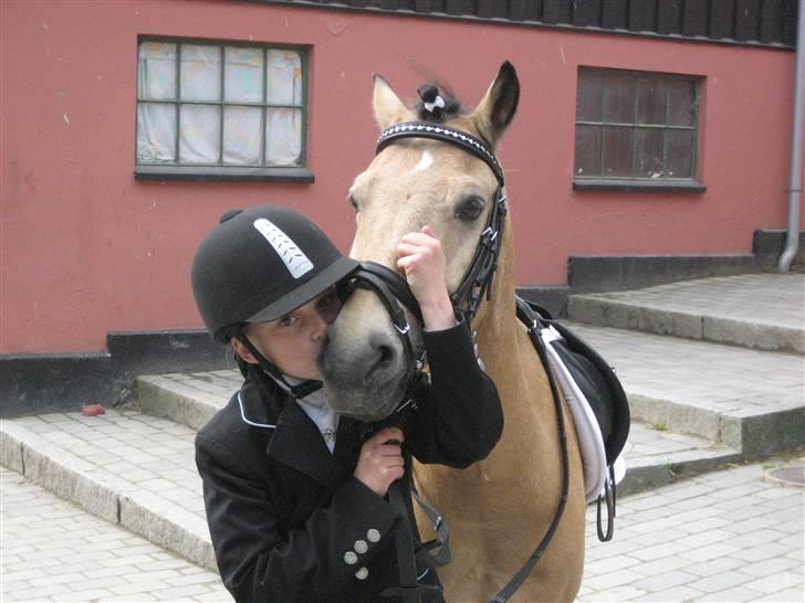 Anden særlig race Marquis billede 14