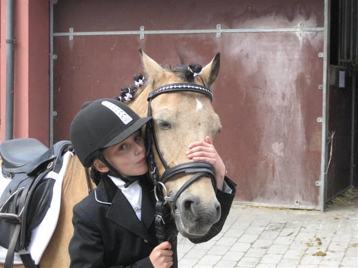 Anden særlig race Marquis billede 15