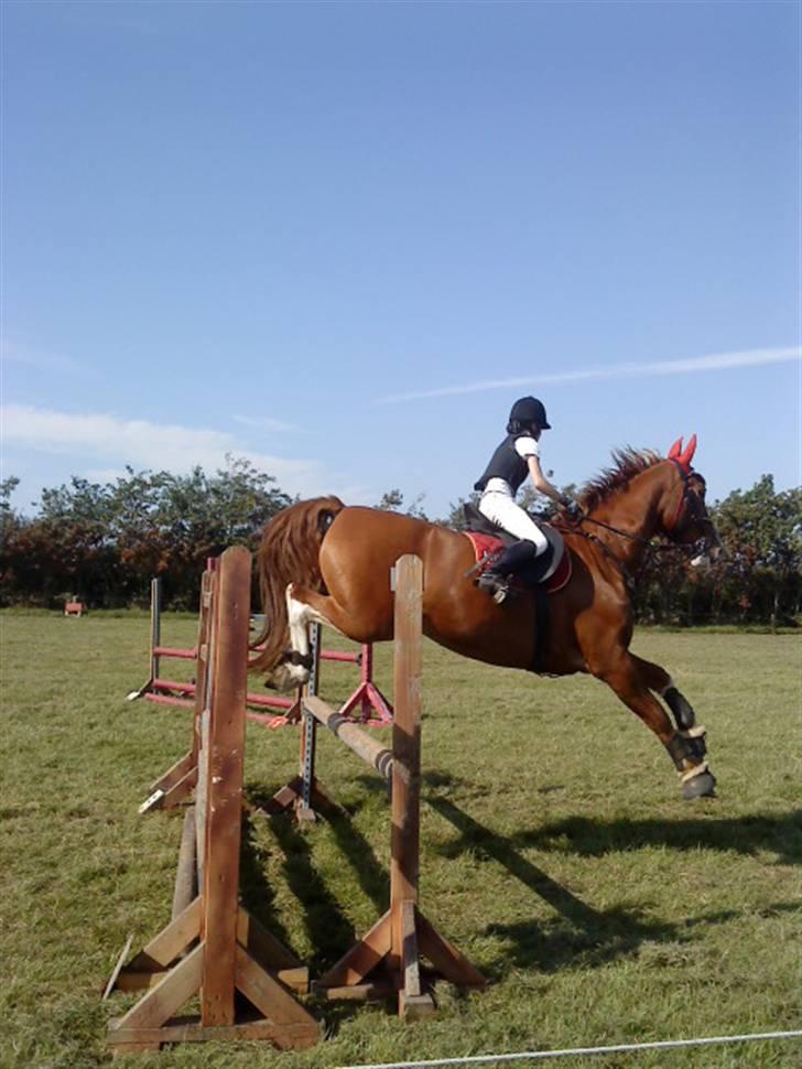 Frederiksborg Humlegårdens Bastian. - stævne 2009 billede 3