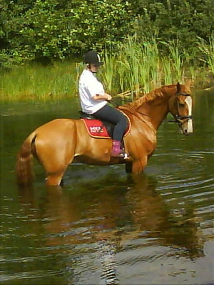 Frederiksborg Humlegårdens Bastian. - bade tur billede 4