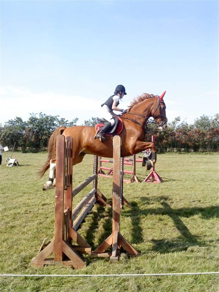 Frederiksborg Humlegårdens Bastian. - stævne på blaak. billede 2