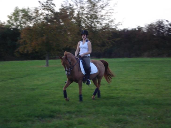 Anden særlig race magic fancy fancy(ik min) - opvarmning til spring :-) billede 5