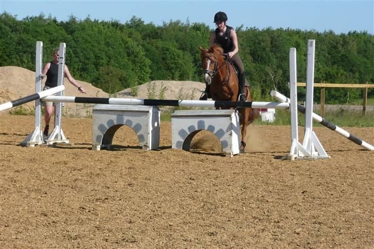 Anden særlig race magic fancy fancy(ik min) billede 6